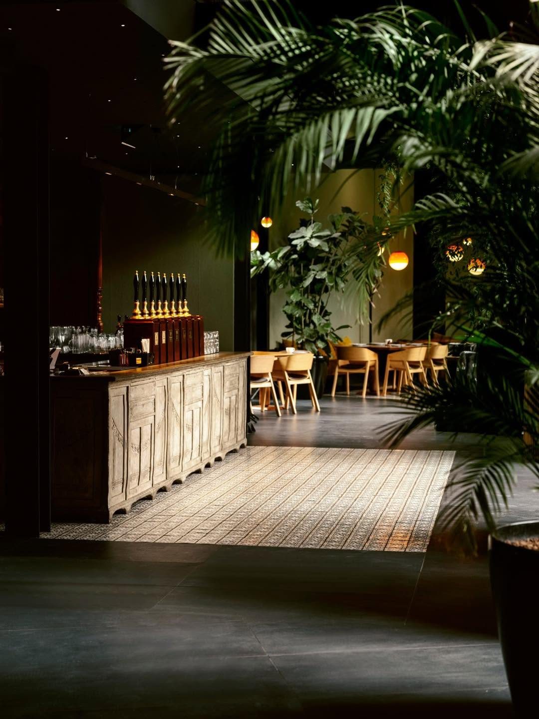 Varazi dining room with greenery and warm light