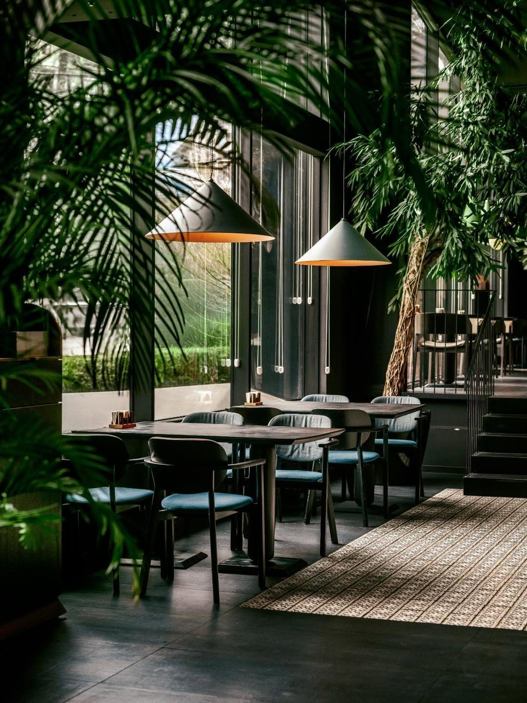 Plants and seating
