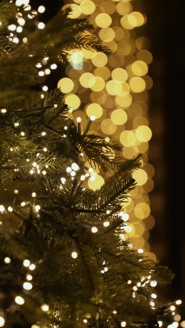 Festive nights at Varazi